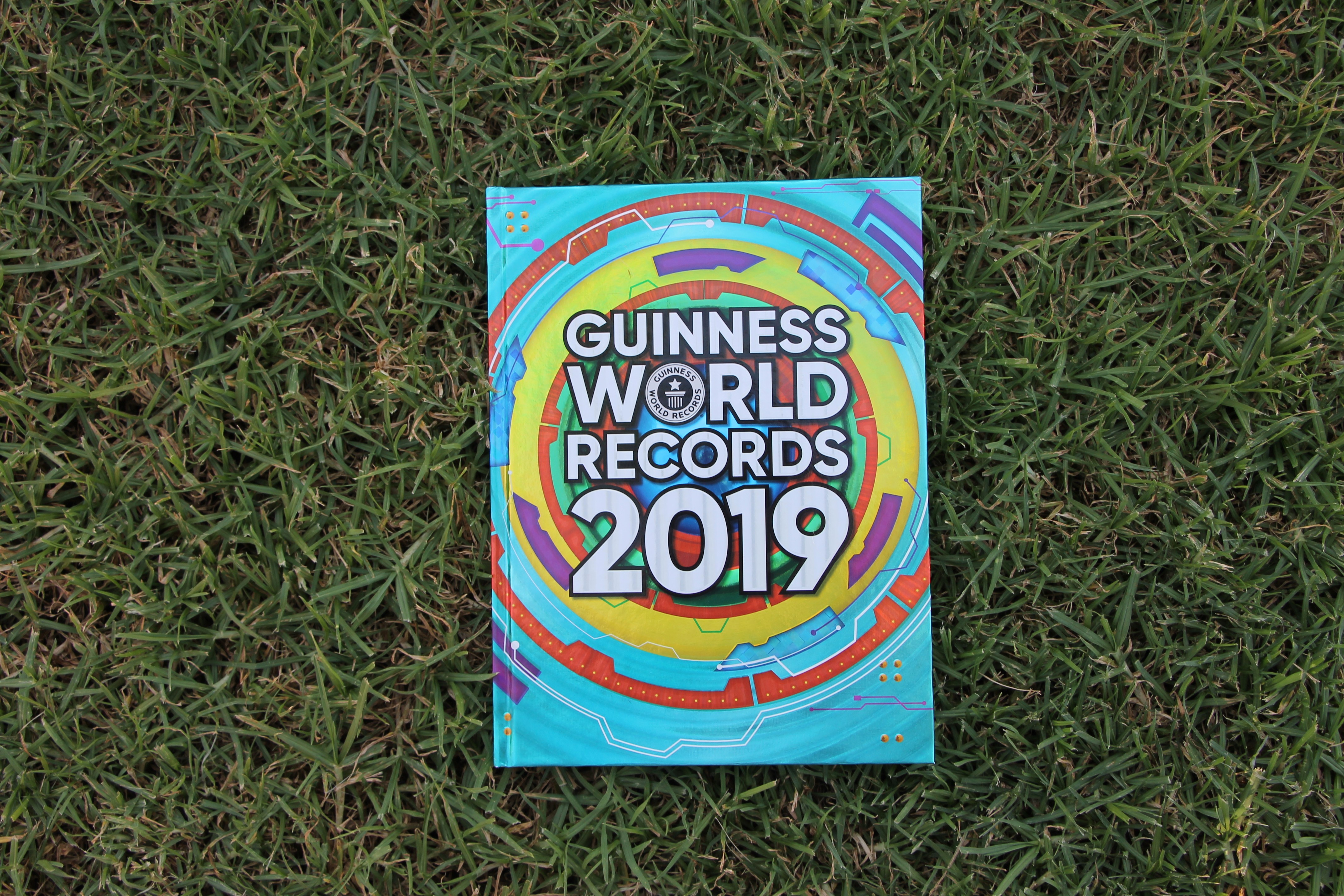 Guinness World Records 2019 Buch Lavendelblog