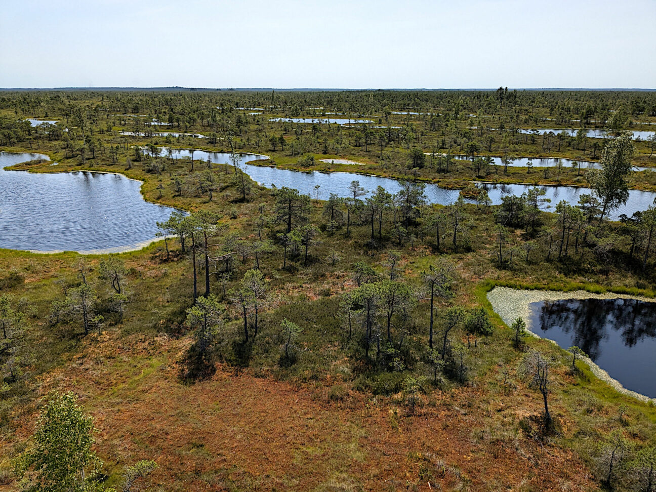 Kemeri Nationalpark Wanderungen